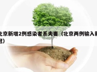 北京新增2例感染者系夫妻（北京两例输入新冠）
