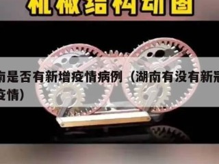 湖南是否有新增疫情病例（湖南有没有新冠肺炎疫情）