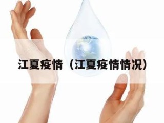 江夏疫情（江夏疫情情况）