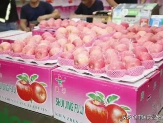 上海唯一水果店，专营苹果，最贵售价293元