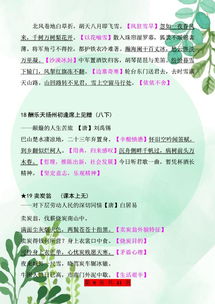 语文考场首出，一场自我认知与挑战的旅程